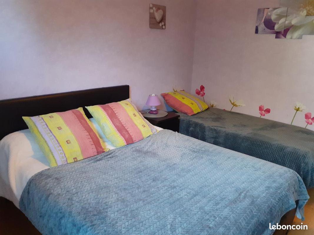 Chambres D'Hotes Les Nefliers Амбоаз Екстериор снимка
